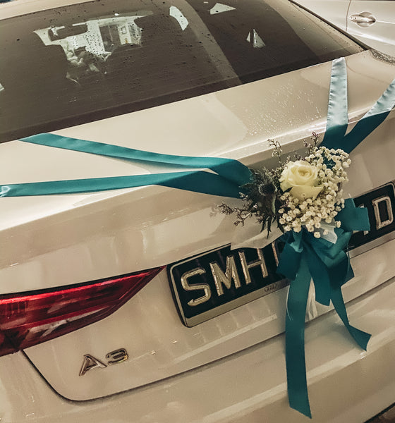 Wedding Car (White with some blues)